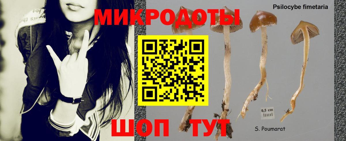 Галлюциногенные грибы мухоморы  Вход с VPN  Лесосибирск 